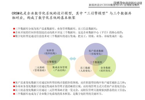CRSM模型與LWC咨詢服務模式在網絡技術服務中的創新應用